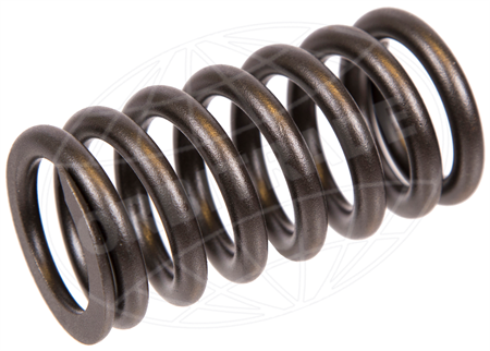 Valve spring