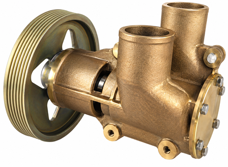 Sea water pump D6